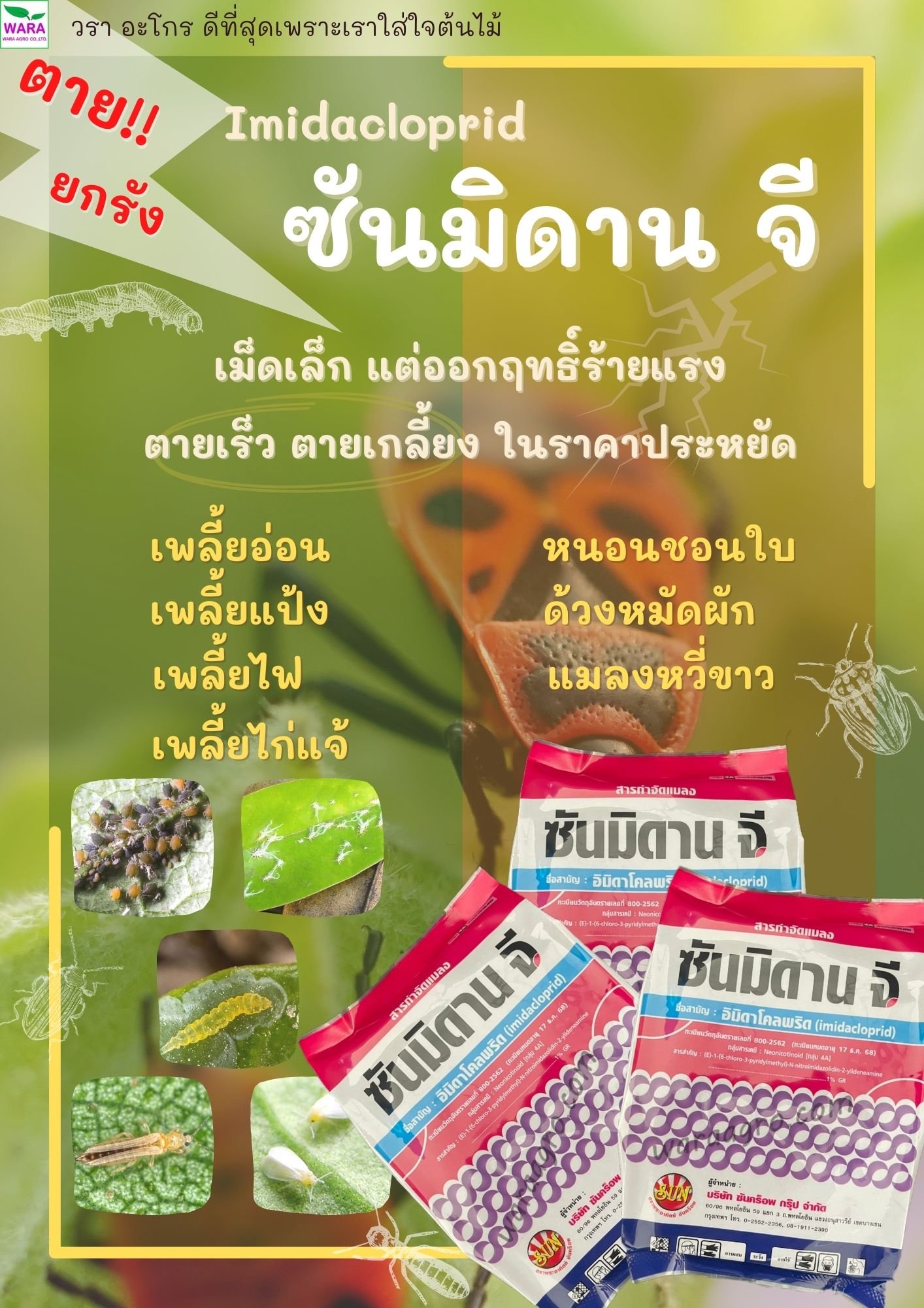 ซันมิดาน จี