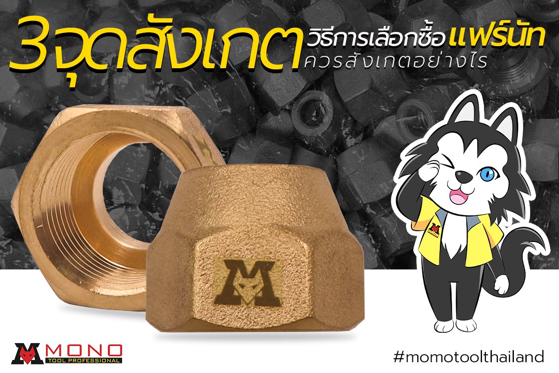 3 จุดการสังเกตุ วิธีการเลือกซื้อแฟร์นัทควรสังเกตอย่างไร 3 จุดการสังเกตุ วิธีการเลือกซื้อแฟร์นัทควรสังเกตอย่างไร