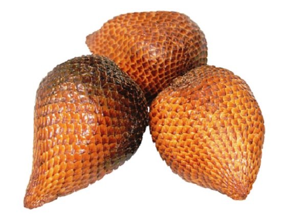 Salak Salak