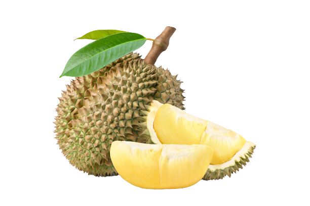 Durian Durian