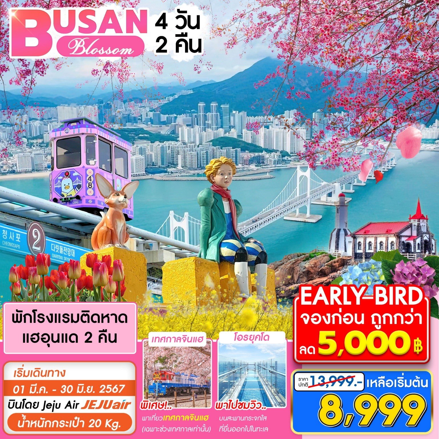 (โปรโมชั่น!!! ลด 5,000 บาท) ทัวร์เกาหลี ปูซาน Busan Blossom 4 วัน 2 คืน