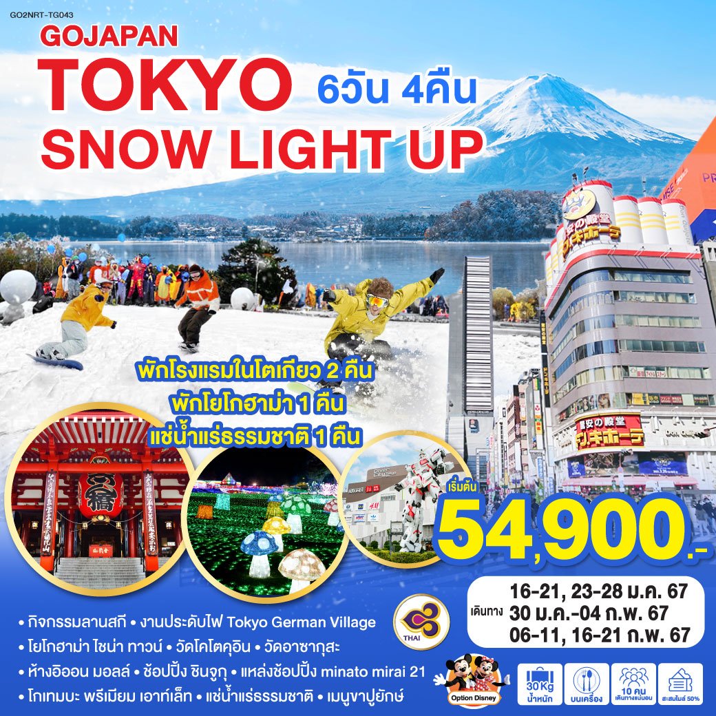 ทัวร์ญี่ปุ่น TOKYO SNOW LIGHT UP 6 วัน 4 คืน