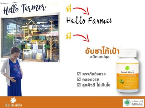 จับซาไท้เป้าชนิดแคปซูลที่ภูเก็ต จับซาไท้เป้าชนิดแคปซูลที่ภูเก็ต