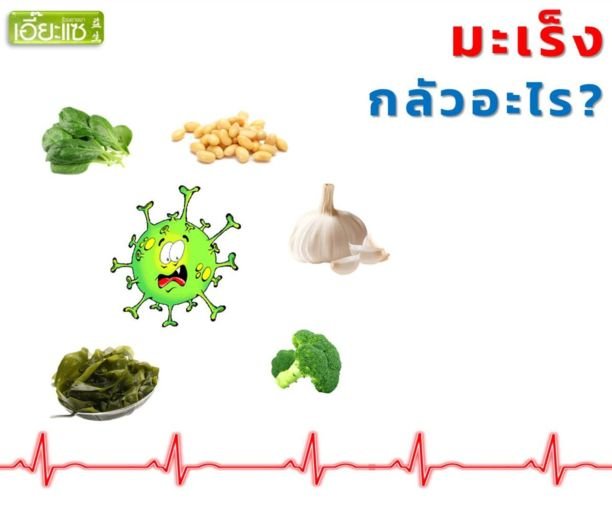 กินอะไรแล้วมะเร็งกลัว กินอะไรแล้วมะเร็งกลัว