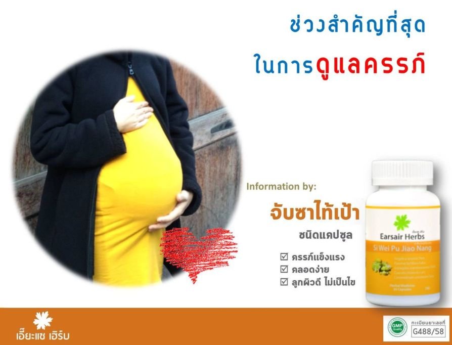 ช่วงสำคัญที่สุดในการดูแลครรภ์ ช่วงสำคัญที่สุดในการดูแลครรภ์