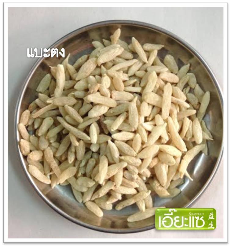 แบะตง麦冬 (Radix Ophiopogonis)  แบะตง麦冬 (Radix Ophiopogonis)