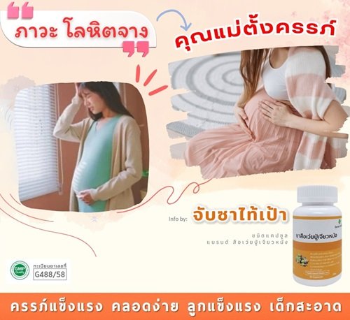โลหิตจาง กับ คุณแม่ตั้งครรภ์ โลหิตจาง กับ คุณแม่ตั้งครรภ์