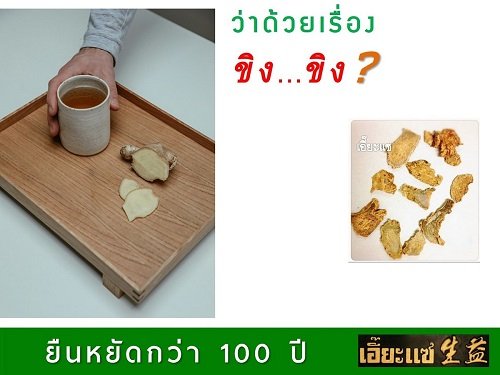 ว่าด้วยเรื่อง ขิง ขิง ว่าด้วยเรื่อง ขิง ขิง