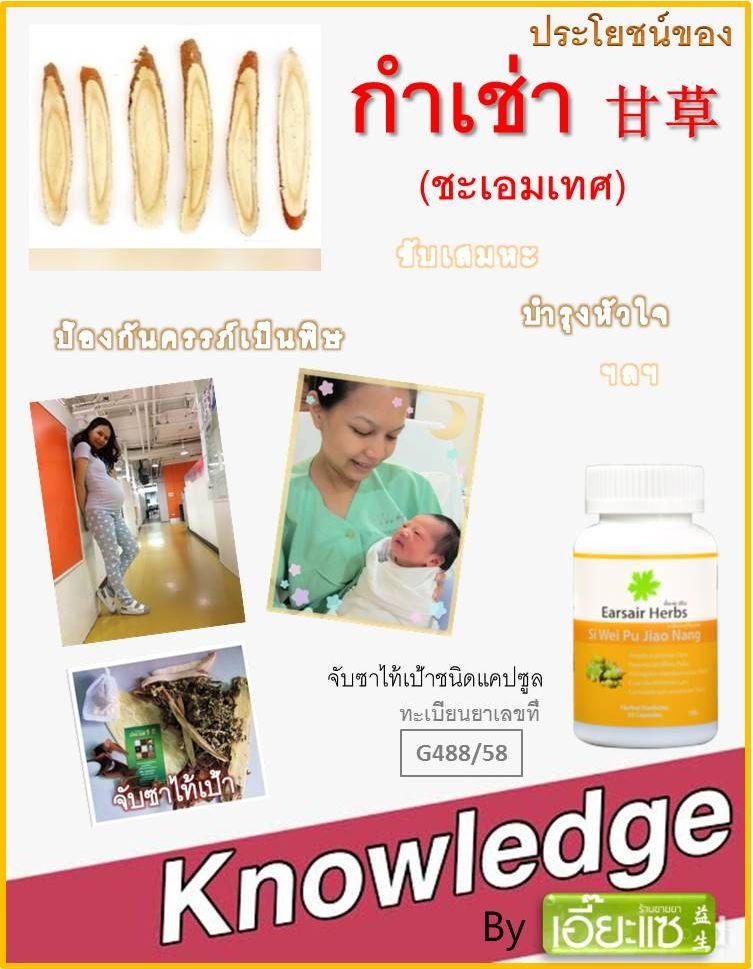 กำเช่า (ชะเอมเทศ) กำเช่า (ชะเอมเทศ)