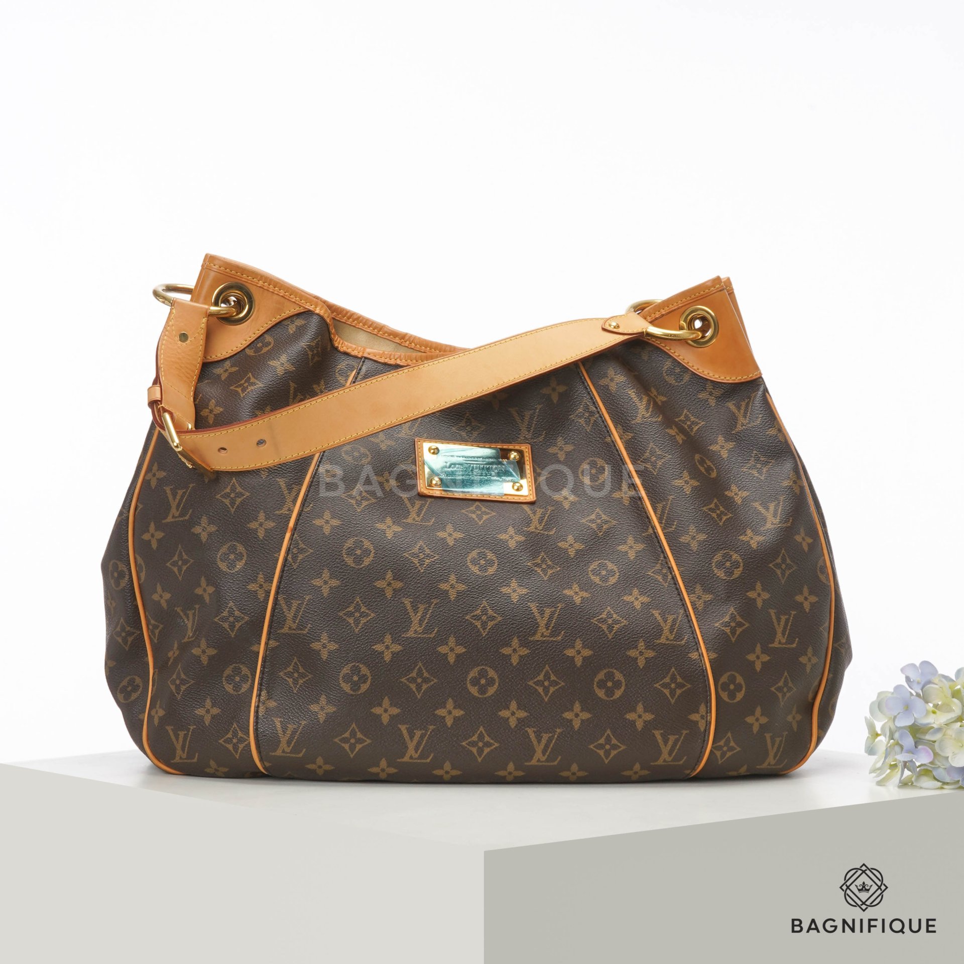 Louis vuitton hotsell monogram galliera pm