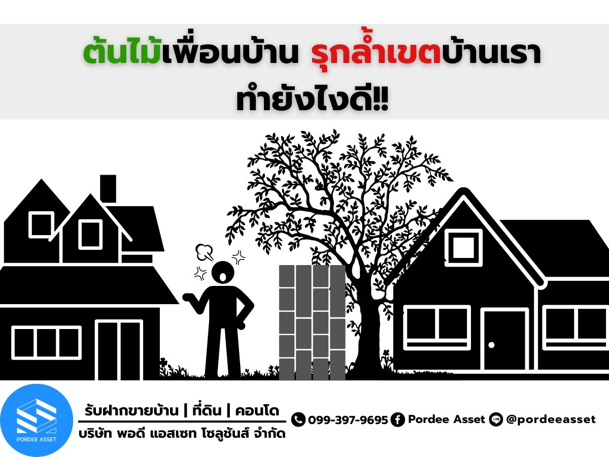 ต้นไม้เพื่อนบ้าน รุกล้ำเขตบ้านเรา ทำยังไงดี!! ต้นไม้เพื่อนบ้าน รุกล้ำเขตบ้านเรา ทำยังไงดี!!