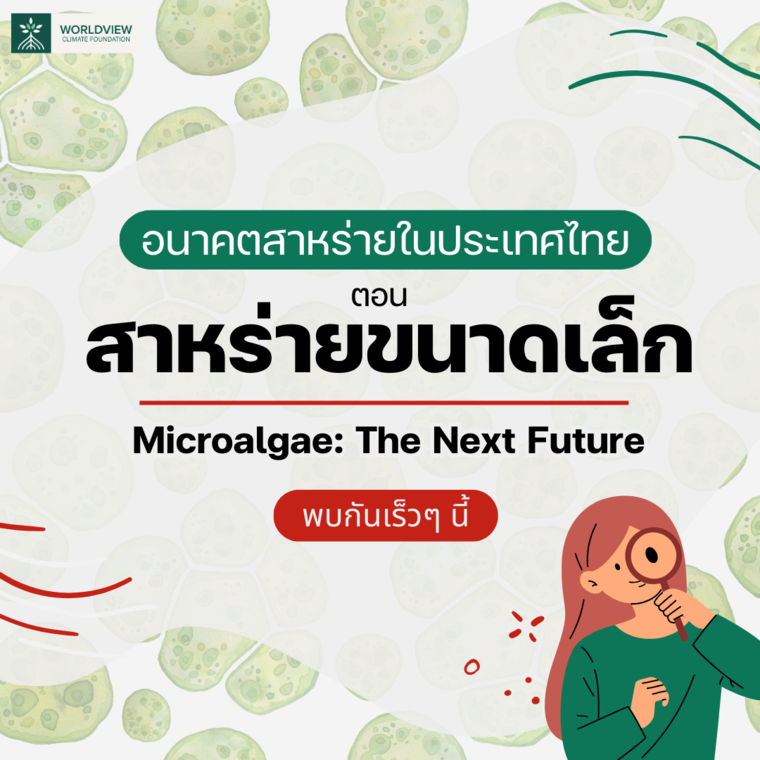 Microalgae: The Next Future