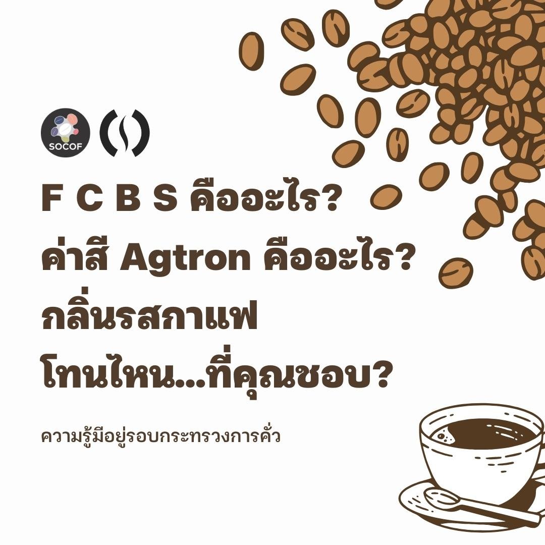 F C B S คืออะไร