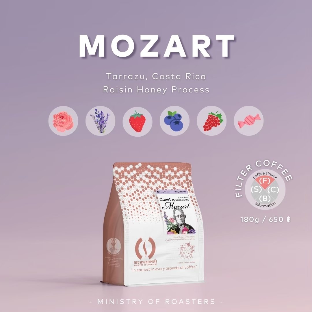 Mozart 1700 m.