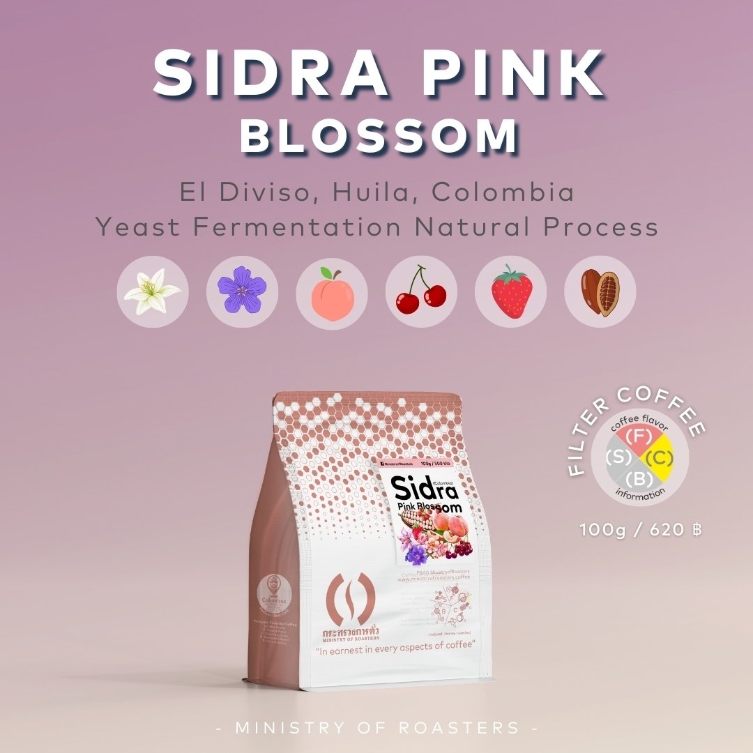 Sidra Pink Blossom