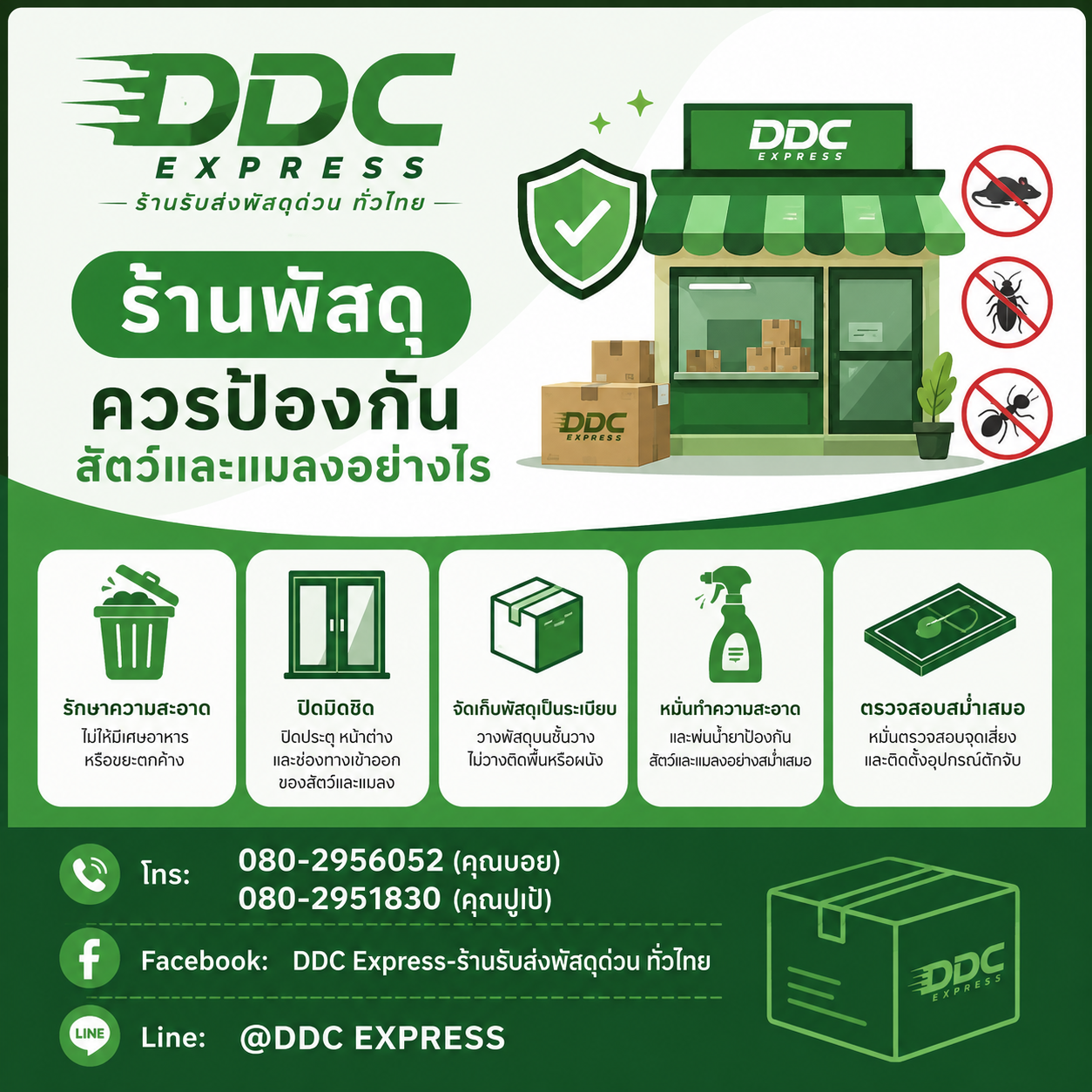 ร้านพัสดุควรป้องกันสัตว์และแมลงอย่างไร 