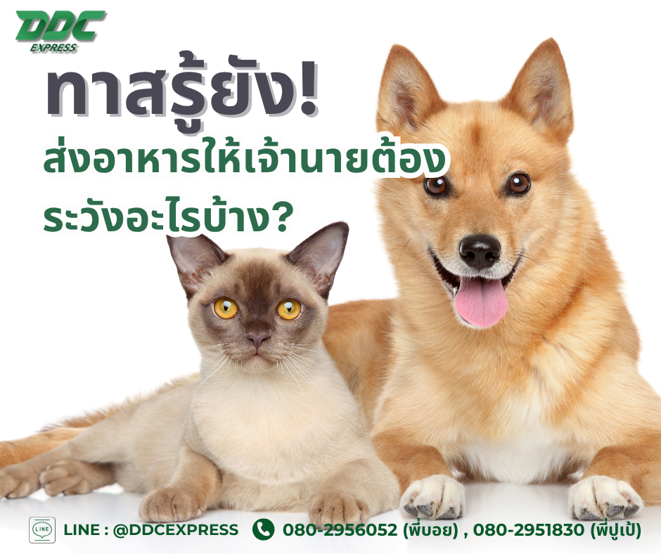 ทาสรู้ยัง! ส่งอาหารให้เจ้านายต้องระวังอะไรบ้าง?