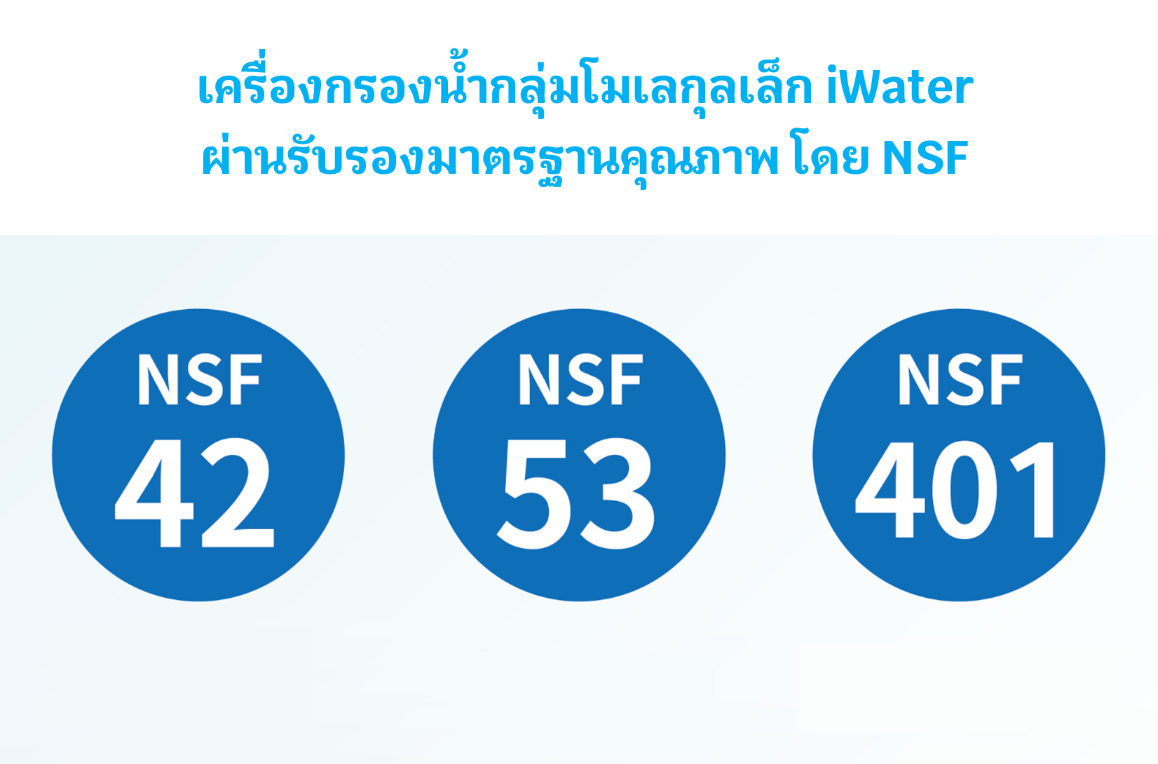 NSF iWater Performance Data Sheet