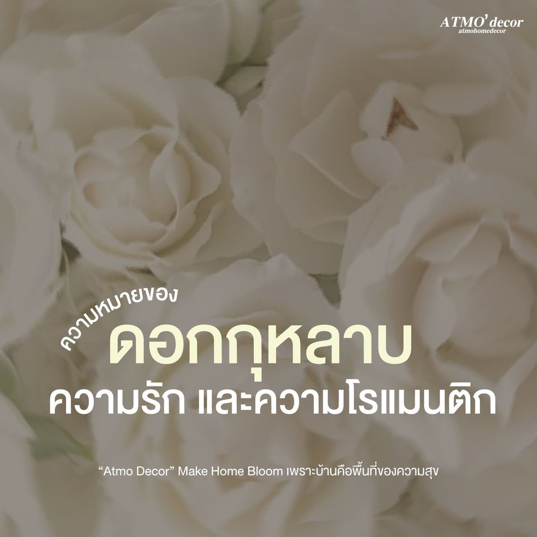 Rose ATMO'decor : สัญลักษณ์ความรัก และโรแมนติก