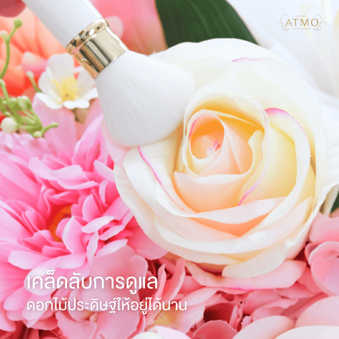 แชร์คู่มือดูแล 'ดอกไม้ประดิษฐ์' ระดับพรีเมียมให้ดูใหม่ตลอดเวลา