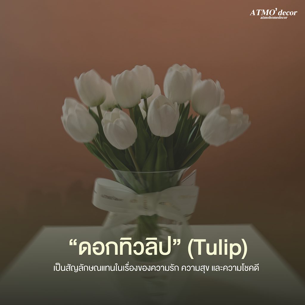 Tulip ATMO'decor : สัญลักษณ์แห่งความสุข เบ่งบานแห่งฤดูใบไม้ผลิ