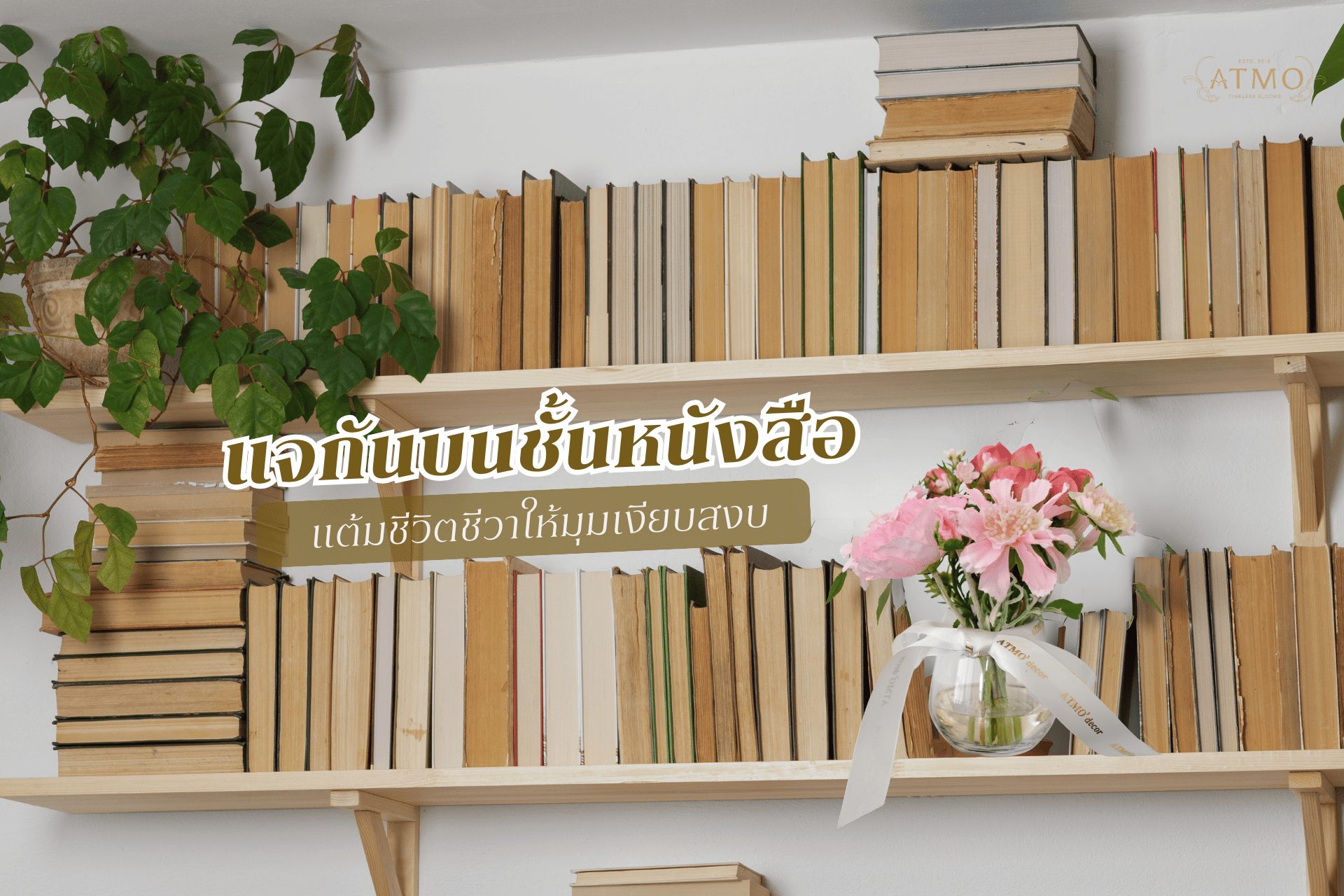 Home is where our story begins