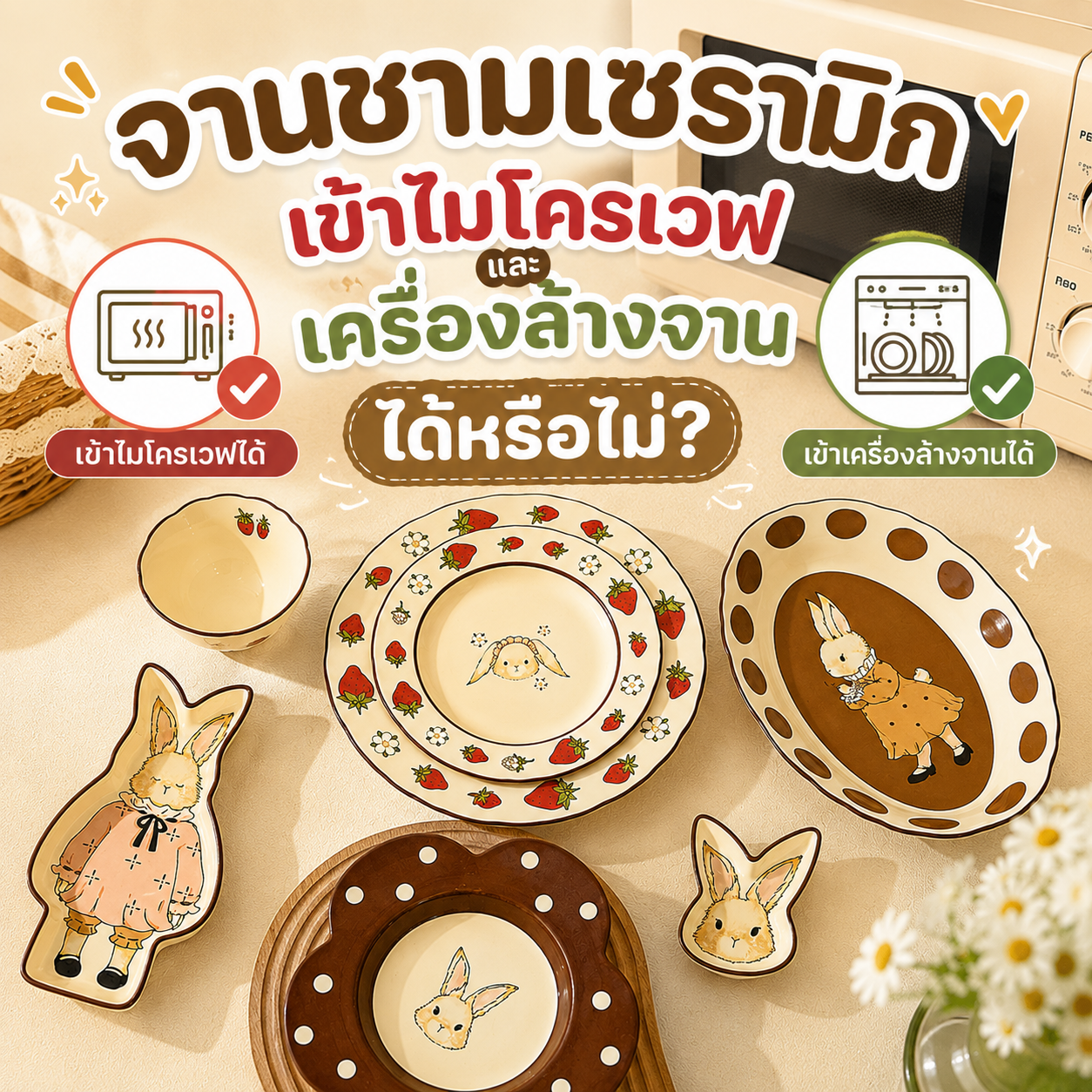 จานชามเซรามิก เข้าไมโครเวฟและเครื่องล้างจานได้หรือไม่?