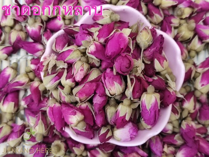 ชาดอกกุหลาบ หรือ ชากุหลาบ (Rose Bud Tea) กุหลาบ ชาดอกกุหลาบ หรือ ชากุหลาบ (Rose Bud Tea) กุหลาบ