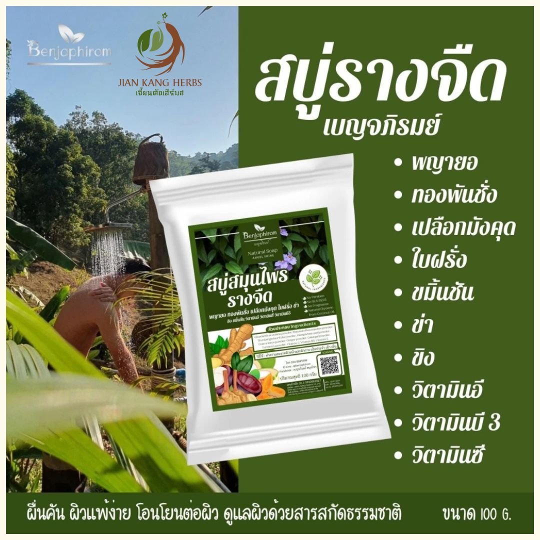 สบู่รางจืด สบู่สมุนไพร สำหรับ ผิวหนัง ผื่น คัน เหงื่อ กลาก พญายอ ทองพันชั่ง เบญจภิรมย์ Laurel Clock Vine Herbal Soap