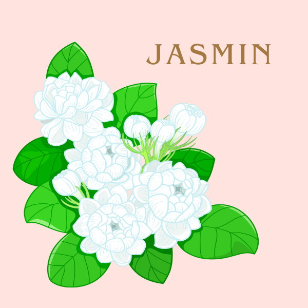 Jasmin