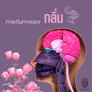 กลิ่น