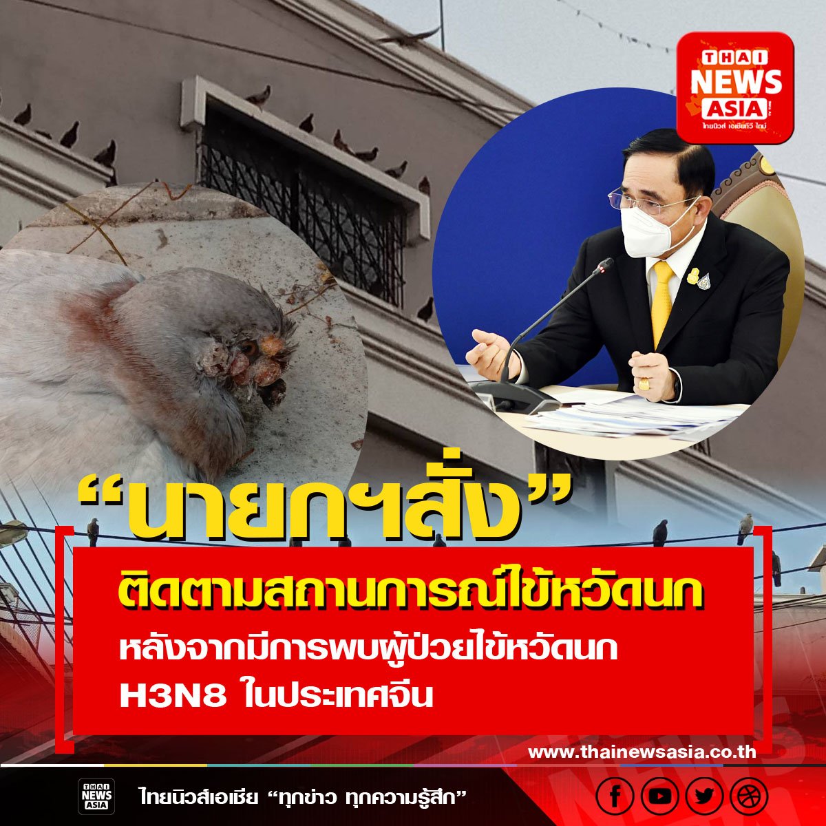 นายกฯห่วงสถานการณ์ไข้หวัดนก สายพันธุ์ H3N8 หลังจากมีการพบผู้ป่วยไข้หวัดนก H3N8 ในประเทศจีน