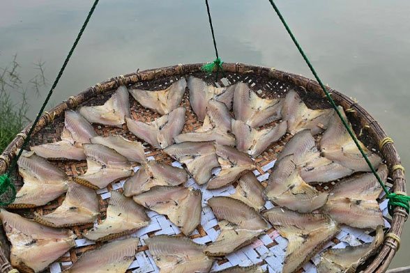 สภาเกษตรกรจังหวัดสมุทรปราการ ลงพื้นที่และร่วมรับฟังในเรื่องปัญหาปลาหมอสีคาง ตำบลบ้านคลองสวน สภาเกษตรกรจังหวัดสมุทรปราการ ลงพื้นที่และร่วมรับฟังในเรื่องปัญหาปลาหมอสีคาง ตำบลบ้านคลองสวน