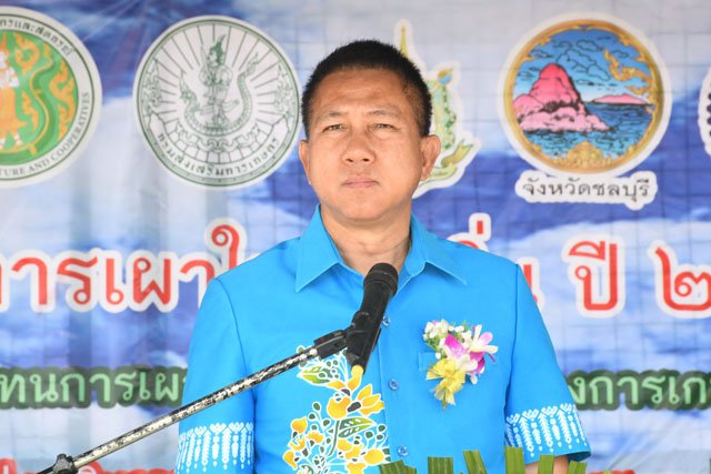ชลบุรี จัดงานรณรงค์ลดการเผาในท้องถิ่น 60,860 ไร่