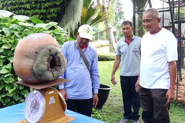 Super cool!! Nong Nooch Garden will be extended from land to sea, cost 1.5 million baht