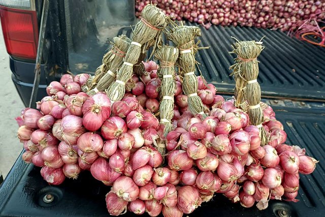 สภาเกษตรกรจังหวัดสมุทรปราการ เชิญชวนสนับสนุน สั่งซื้อ “หอมแดงศรีสะเกษ”ราคาถูกจากเกษตรกรโดยตรง เพื่อช่วยเหลือเกษตรกร