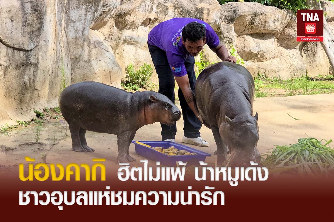 น้องคากิ ฮิตไม่แพ้ น้าหมูเด้ง ชาวอุบลแห่ชมความน่ารัก