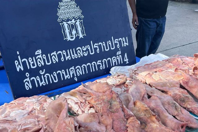 กรมศุลกากร คุมเข้มสกัดจับขบวนการลักลอบขนเนื้อสุกรแช่แข็งเข้าภาคใต้ของประเทศ น้ำหนัก 12,000 กิโลกรัม รวมมูลค่า 3 ล้านบาท
