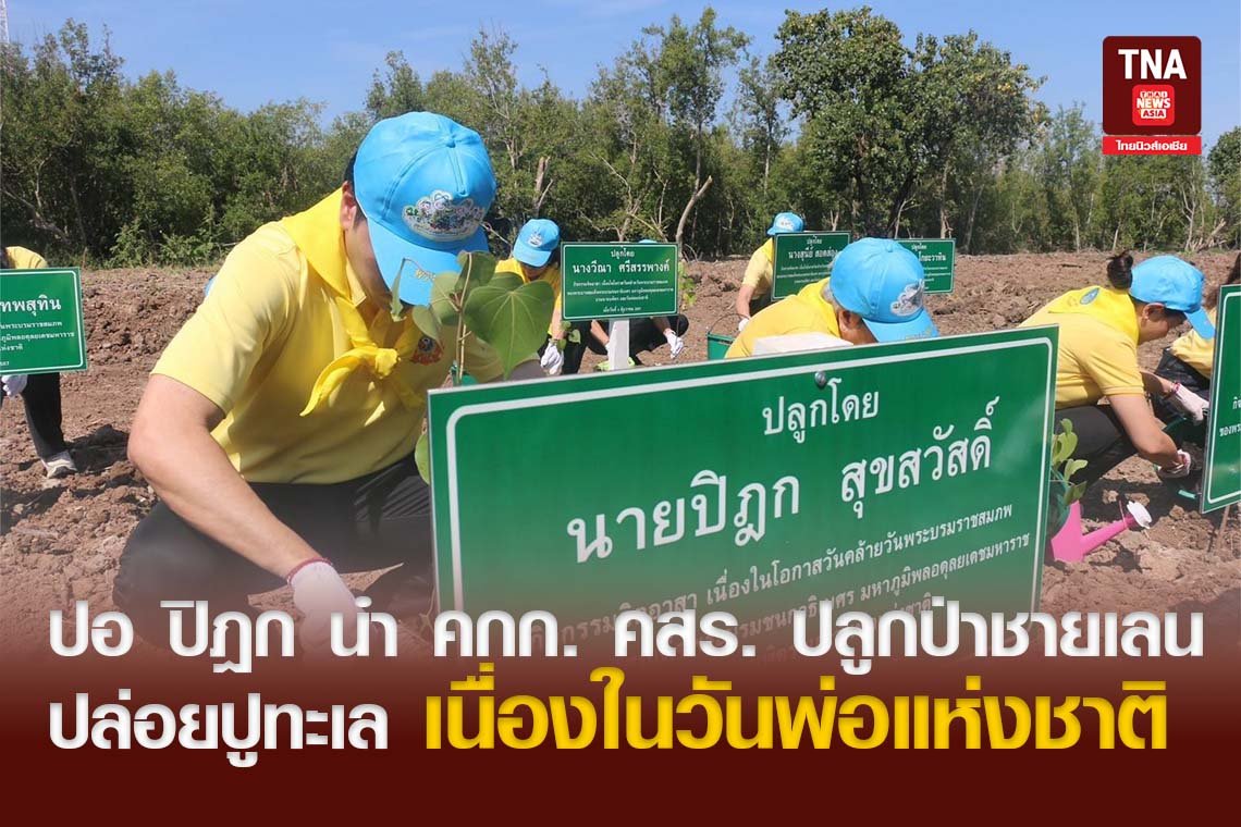 ปอ ปิฎก นำ คกก. คสร. ปลูกป่าชายเลน-ปล่อยปูทะเล เนื่องในวันพ่อแห่งชาติ