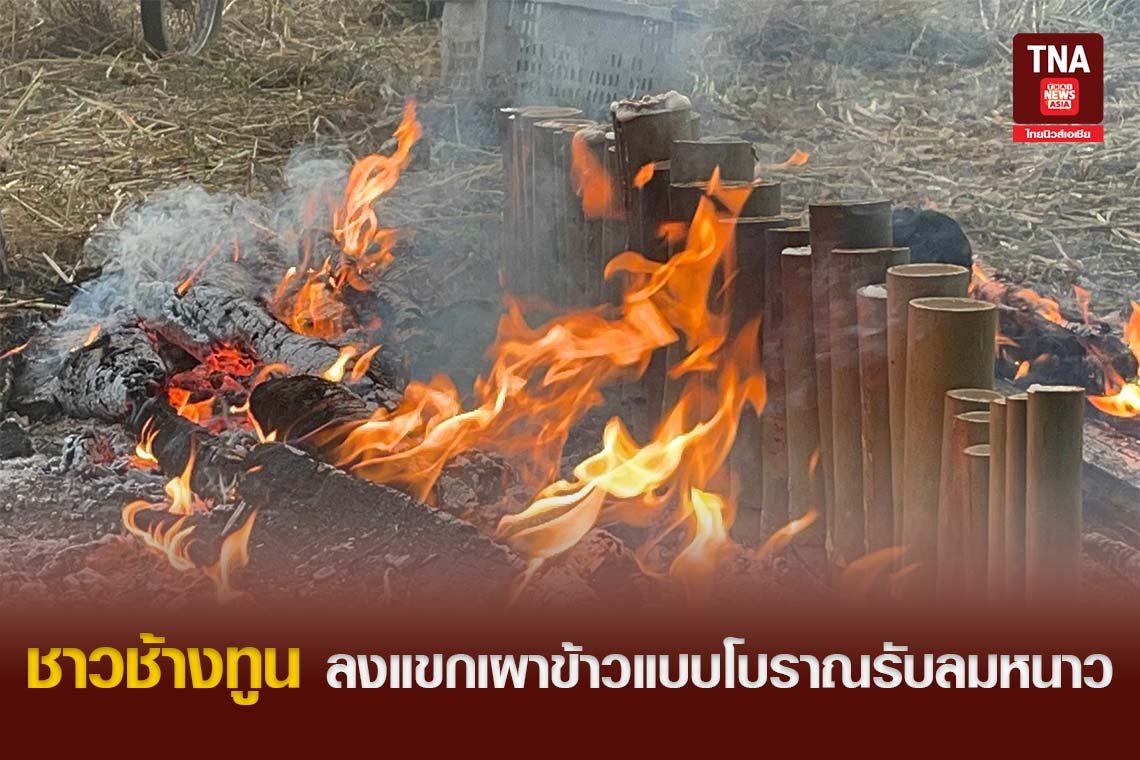 ชาวช้างทูน ลงแขกเผาข้าวแบบโบราณรับลมหนาว
