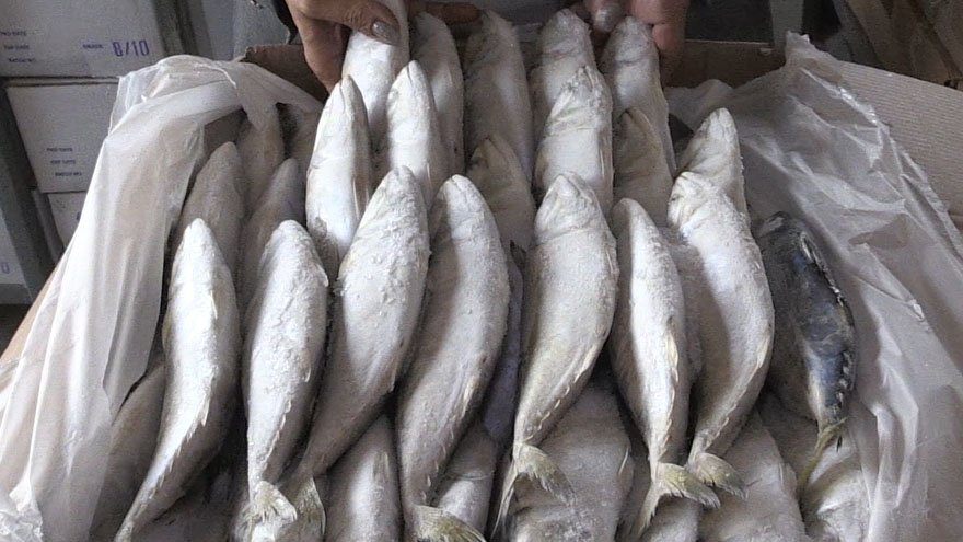 เปิดใจ !! นักธุรกิจสาว “มาดามแมว” เจ้าของแบรนด์ “RASITA SEAFOOD” เปิดใจ !! นักธุรกิจสาว “มาดามแมว” เจ้าของแบรนด์ “RASITA SEAFOOD”