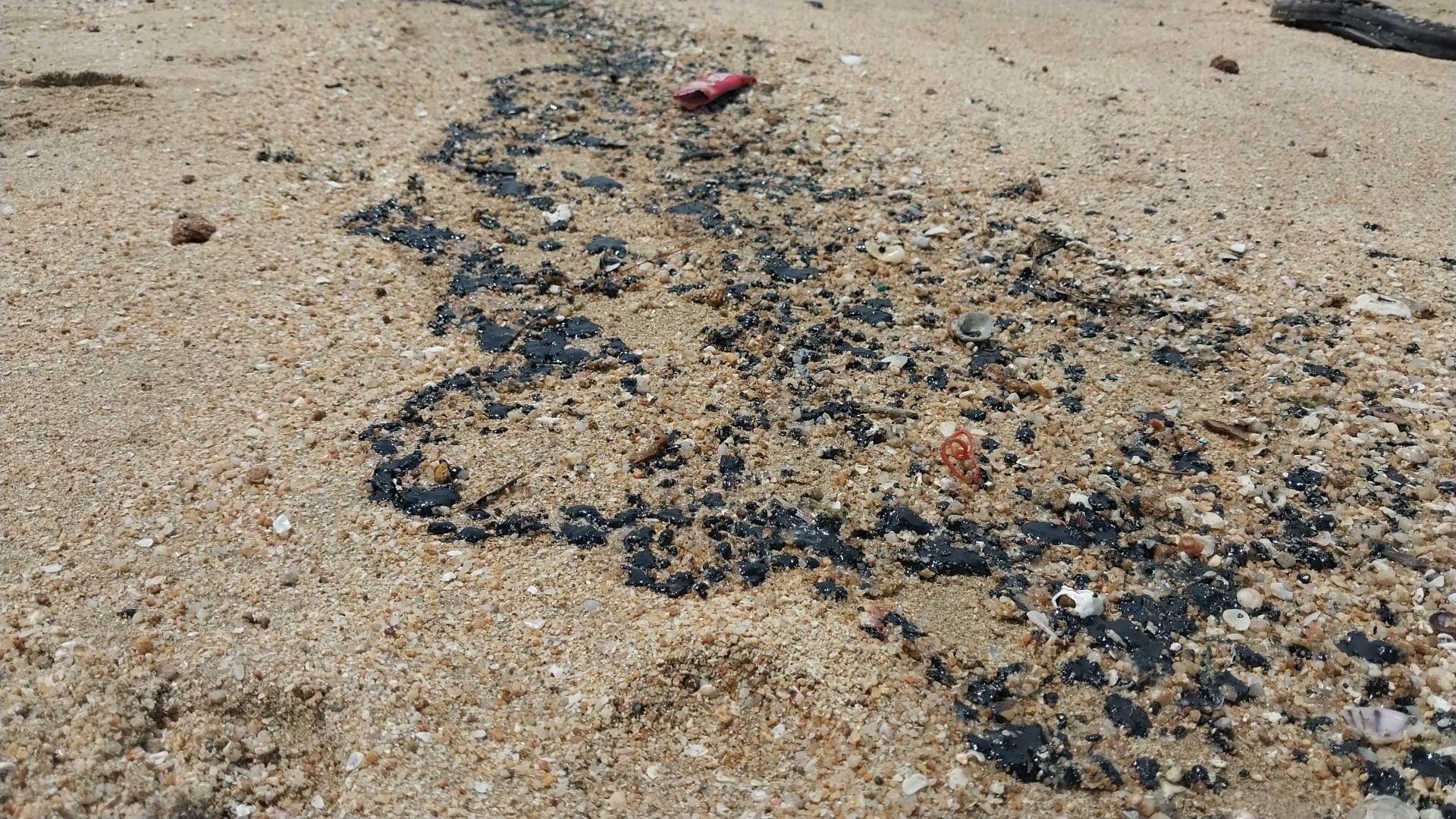 นักท่องเที่ยวเล่นน้ำหาดจอมเทียนพบคราบน้ำมันเกาะเต็มชายหาดจนเลอะติดตัว  นักท่องเที่ยวเล่นน้ำหาดจอมเทียนพบคราบน้ำมันเกาะเต็มชายหาดจนเลอะติดตัว