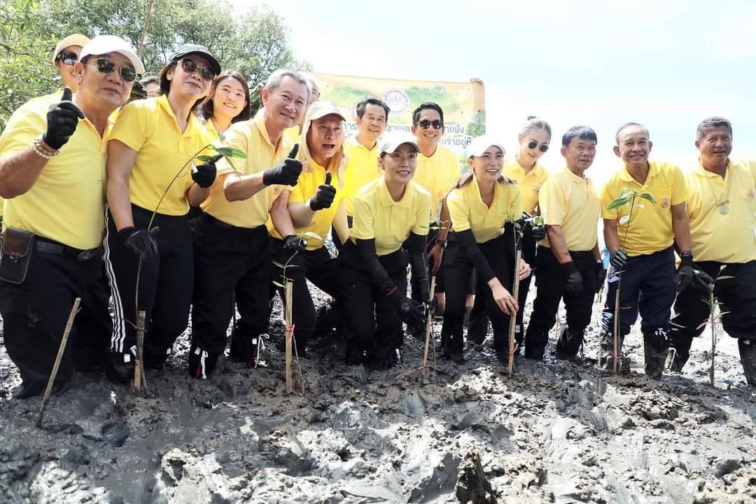 มาดามตู่ ควง น้องเพลง ปลูกต้นกล้า พัฒนาชายเลน  เฉลิมพระเกียรติพระบาทสมเด็จพระเจ้าอยู่หัว มาดามตู่ ควง น้องเพลง ปลูกต้นกล้า พัฒนาชายเลน  เฉลิมพระเกียรติพระบาทสมเด็จพระเจ้าอยู่หัว