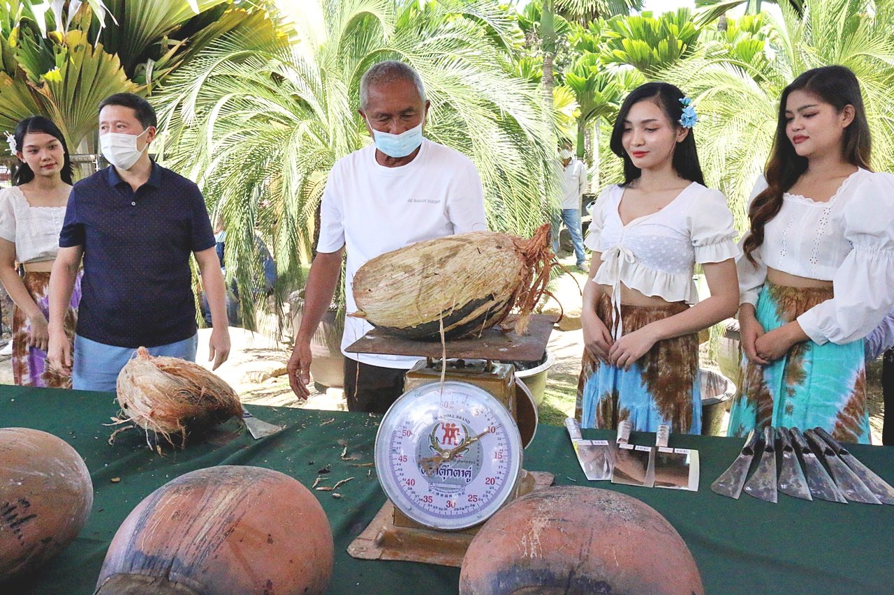 Amazing Nong Nooch Tropical Garden Pattaya cut a sea coconut as huge as a hundred thousand