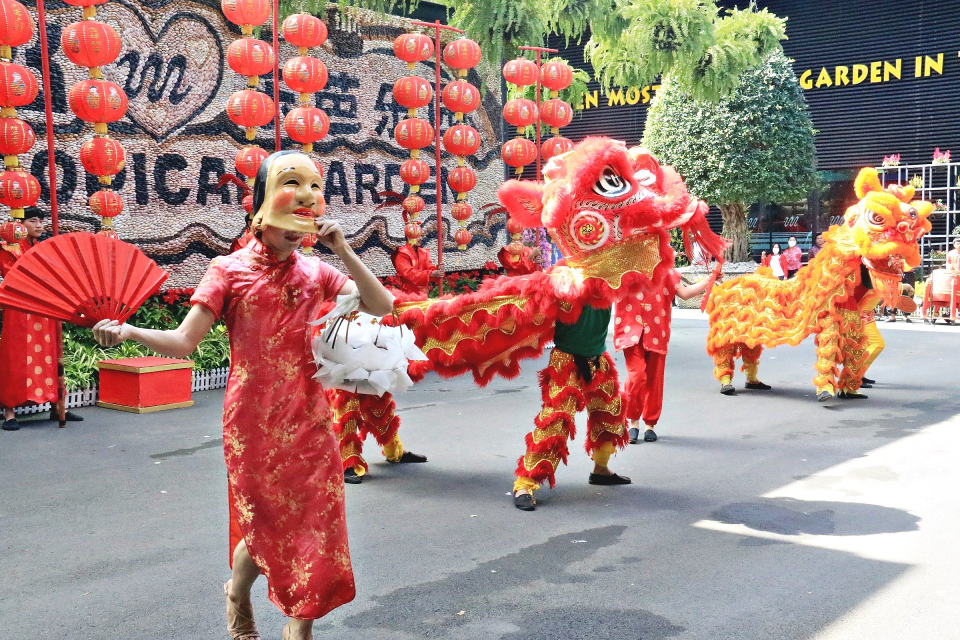 Welcoming Chinese New Year, cunning elephants dancing alongside lions