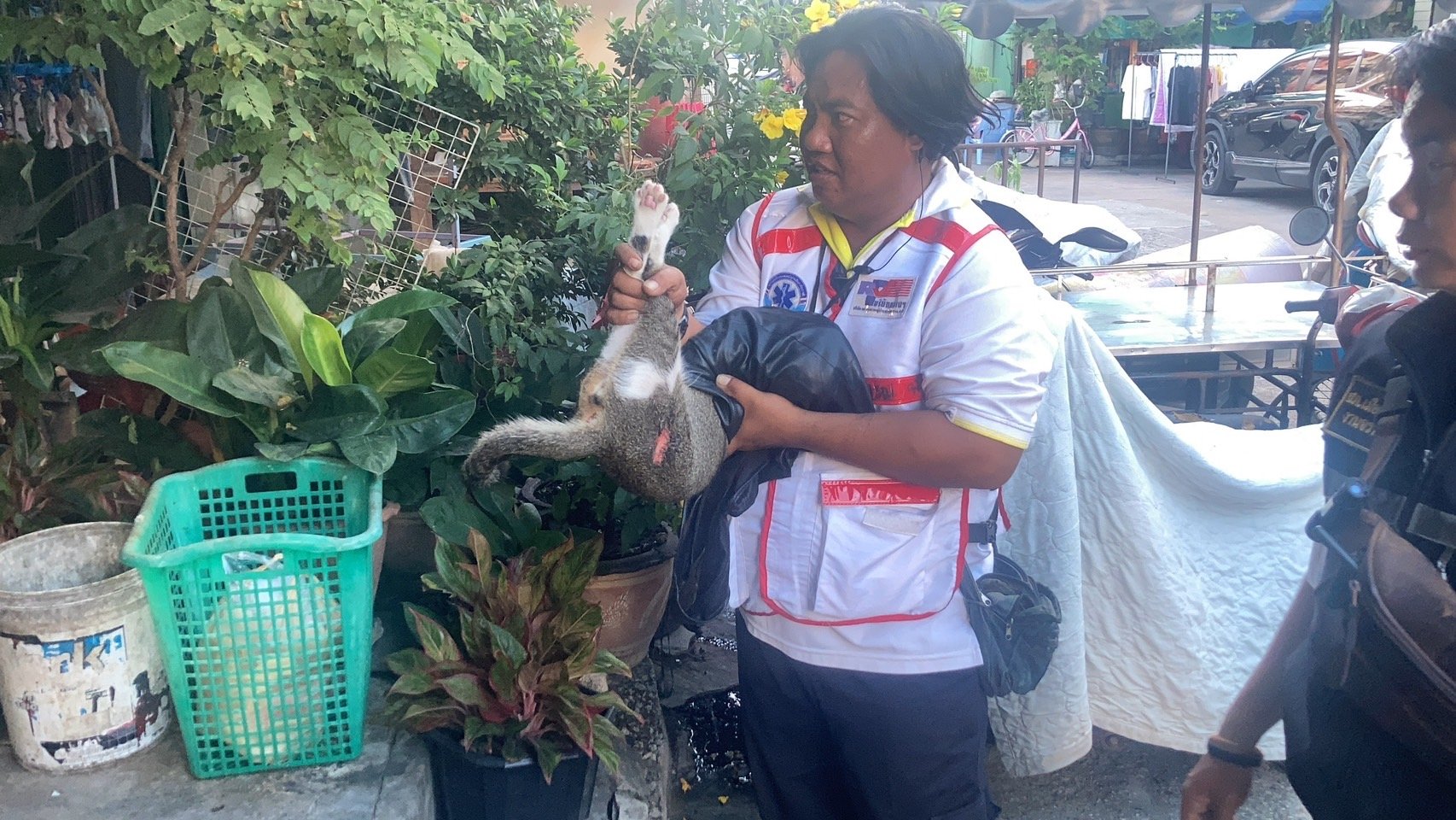 เจ้าเหมียว ซนกระโดดพาด เหล็กเสียบขา กู้ภัยฯพัทยาเร่งช่วย