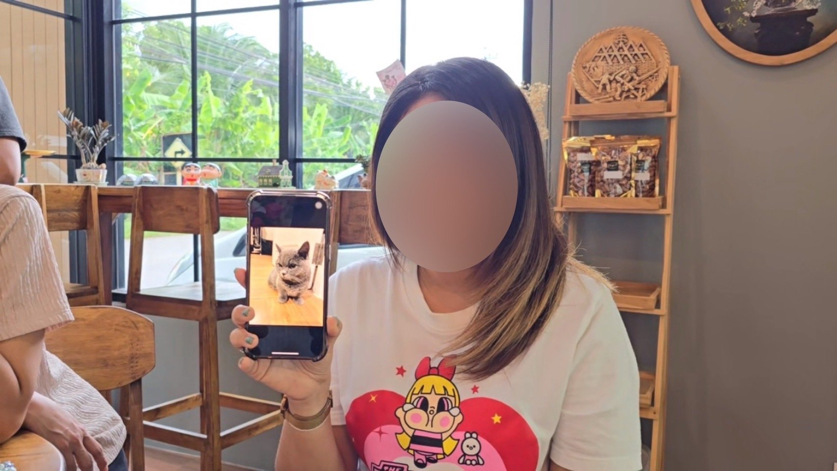 นนทบุรี - ทาสแมวใจสลาย วอนหาสาเหตุ หลังพาไปอาบน้ำ   นนทบุรี - ทาสแมวใจสลาย วอนหาสาเหตุ หลังพาไปอาบน้ำ  