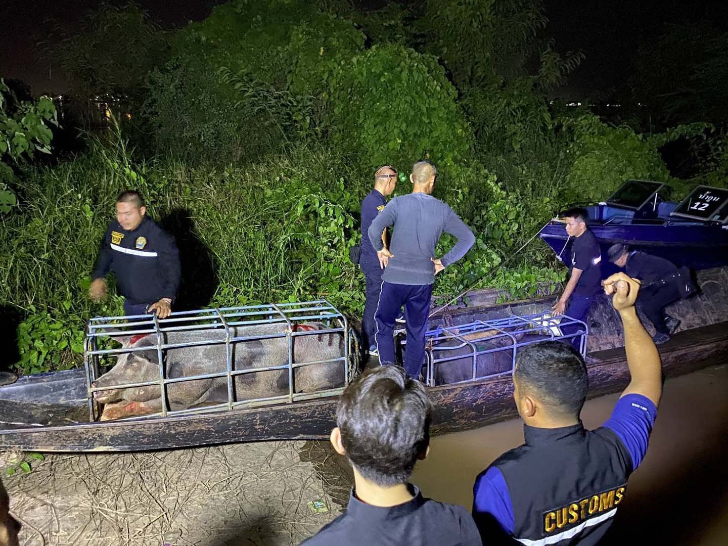 ทหารพราน 2105 ร่วมกับหลายหน่วยงาน ตรวจยึดสุกร(มีชีวิต) จำนวน 4 ตัว พร้อมเรือเหล็ก ลักลอบส่งออกไป สปป.ลาว ส่วนผู้ต้องหาหลบหนี ทหารพราน 2105 ร่วมกับหลายหน่วยงาน ตรวจยึดสุกร(มีชีวิต) จำนวน 4 ตัว พร้อมเรือเหล็ก ลักลอบส่งออกไป สปป.ลาว ส่วนผู้ต้องหาหลบหนี