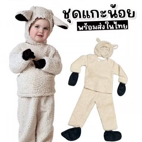 ชุดแกะ เสื้อ / กางเกง / ถุงมือ/ สวมเท้า/เครื่องหัวรัดใต้คาง