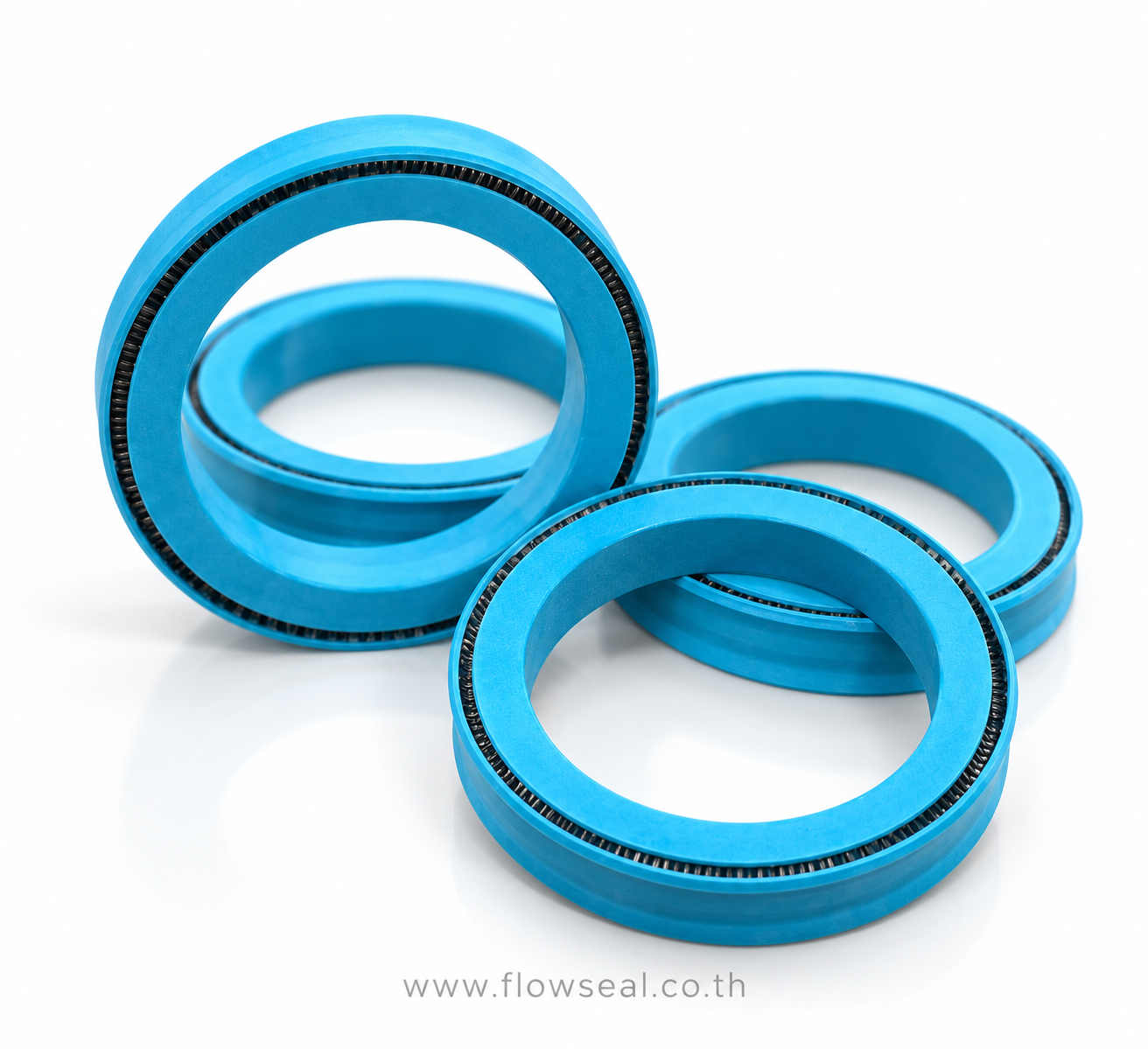 PTFE Spring Energized Seal ซีลมีสปริง PTFE Spring Energized Seal ซีลมีร่องใส่สปริง 2 ด้าน